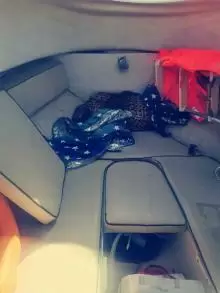 قارب للبيع بحالة الوكالة