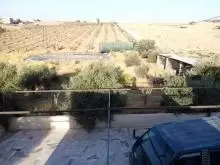 مزرعة للبيع في طريق المطار -  الزعفران