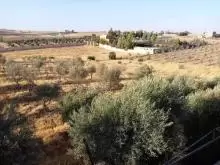 مزرعة للبيع في طريق المطار -  الزعفران