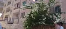 شقة للبيع في الزرقاء الجديدة