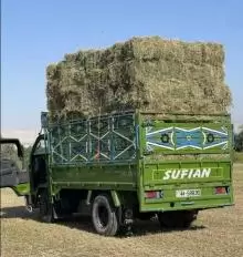 تويوتا ديانا للبيع 97