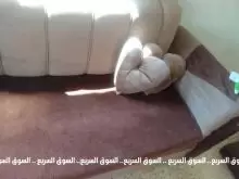طقم كنب مستعمل للبيع