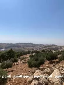 ارض للبيع في السلط قرية بطنا