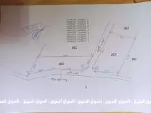 ارض للبيع في ام رمانة