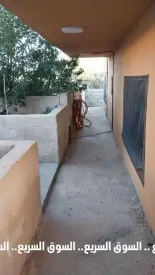 بيت مستقل للايجار في مادبا . العريش