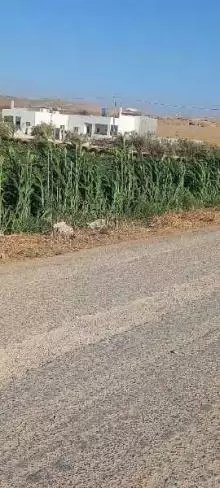 ارض للبيع في الرمثا ام العوصلان الغربي