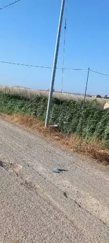 ارض للبيع في الرمثا ام العوصلان الغربي