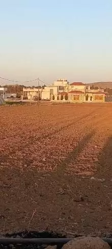 ارض للبيع في الرمثا ام العوصلان الغربي