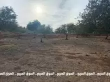 قطعة ارض في جرش منطقة الجبارات
