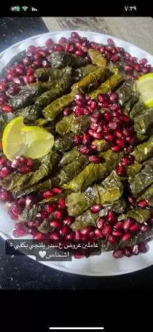 اكل جاهز لطلاب الجامعات والبيوت