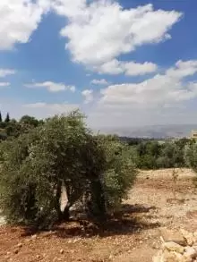 بيت مستقل للبيع - السلط - دعم الغزالات