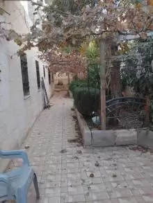 بيت مستقل (تسوية) للبيع - الجويدة - بالقرب من نادي الرماية الملكي
