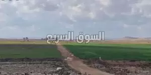 ارض للبيع في الزرقاء