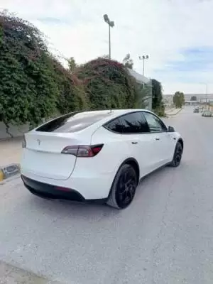 تسلا y 2021 قابل للبدل