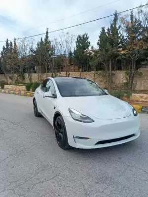 تسلا y 2021 قابل للبدل