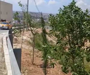 ارض للبيع في عمان . شفا بدران . حوض مرج الفرس .