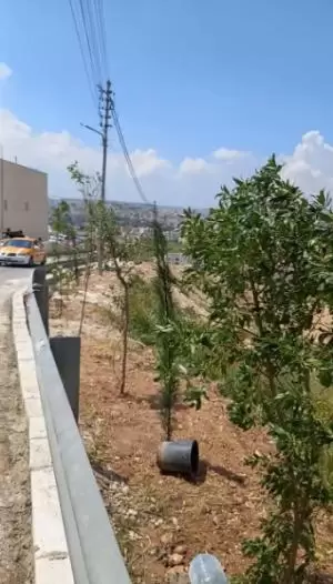 ارض للبيع في عمان . شفا بدران . حوض مرج الفرس .