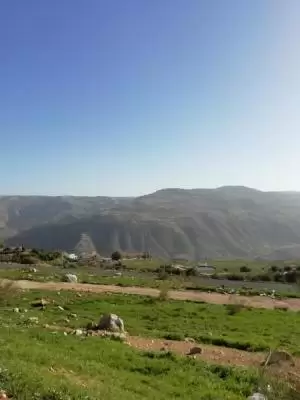 ارض للبيع مرج الحمام ناعور الجلهاء من المالك ارض للبيع مرج الحمام ناعور الجلهاء من المالك