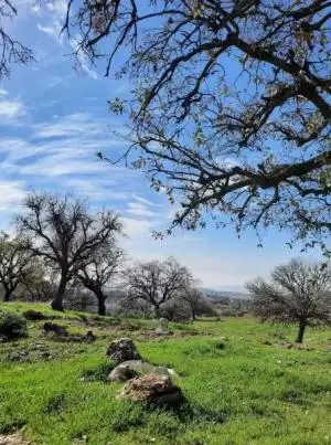 أرض للبيع أبو السوس  -  Land for Sale in Abu Alsous