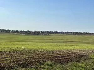 ارض للبيع في جلول من المالك مباشرة