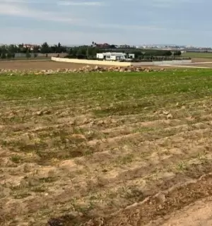 ارض للبيع في مرج الحمام من المالك ارض للبيع في مرج الحمام من المالك