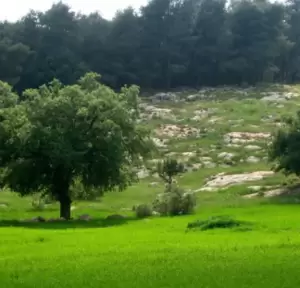 ارض للبيع في ابو السوس البحاث من المالك مباشرة