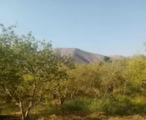 ارض للبيع في الحمه الاردنيه المخيبه الفوقا