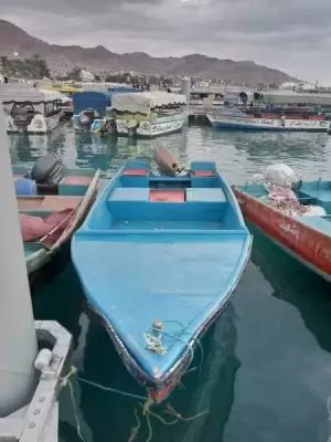 قارب نزهة للبيع