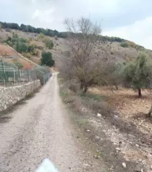مزرعه للبيع في عجلون عين جنا