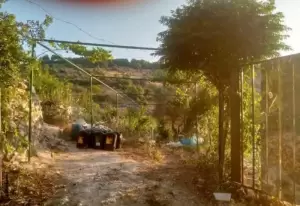 مزرعه للبيع في عجلون عين جنا