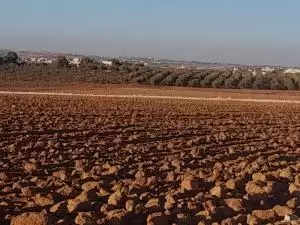 اراضــي للبيــع في مادبـــــا