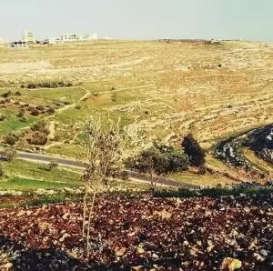 ارض للبيع في اربد ناطفة