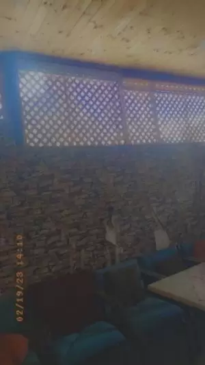 شقه للبيع في الدوار السابع