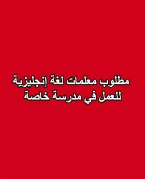 مطلوب معلمات لغة انجليزية