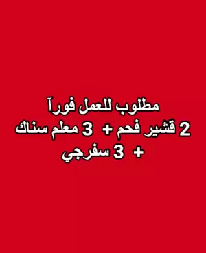 مطلوب 2 قشير فحم + 3 معلم سناك (قطاعه) + 3 سفرجي مطلوب 2 قشير فحم + 3 معلم سناك (قطاعه) + 3 سفرجي