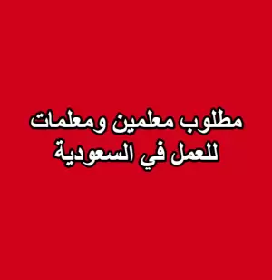 مطلوب معلمين ومعلمات للعمل في السعودية