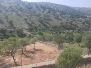 مزرعه للبيع العالوك جديده من المالك