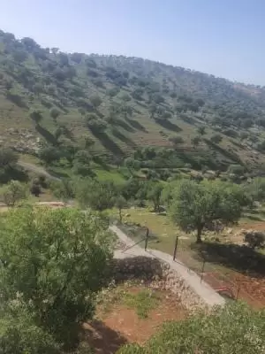 مزرعه للبيع العالوك جديده من المالك