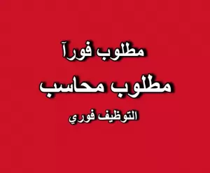 مطلوب محاسب