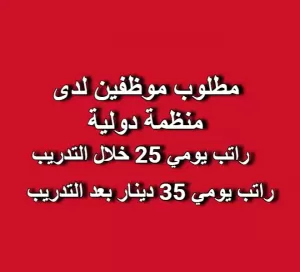 مطلوب موظفين للعمل لدى منظمة دولية - منظمة طفل الحرب