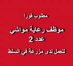 مطلوب موظف رعاية مواشي عدد 2