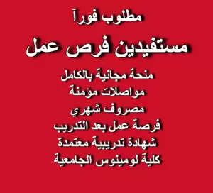 منحة فرص العمل - تدريب - منحة من كلية لومينوس الجامعية التقنية