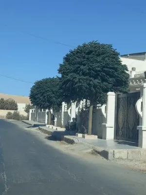 ارض مميزة جدآ للبيع من المالك في شفا بدران . جنب الترخيص مباشرة