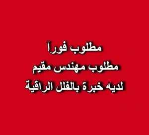 مطلوب مهندس مقيم