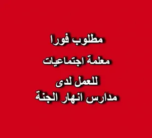 👩‍🏫 مطلوب: معلمات اجتماعيات