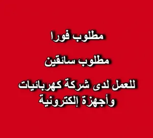 شركة إلكترونيات كبرى بحاجة إلى سائقين متفرغين