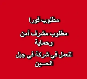 مطلوب مشرف امن وحماية