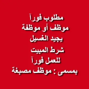 مطلوب موظف / موظفة مصبغة – مع شرط المبيت مطلوب موظف / موظفة مصبغة – مع شرط المبيت
