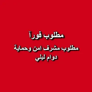 مطلوب مشرف امن وحماية بدوام ليلي
