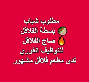 مطلوب شباب 🥙 بَسطة الفلافل 🔥 صاج الفلافل للتوظيف لدى مطعم مشهور